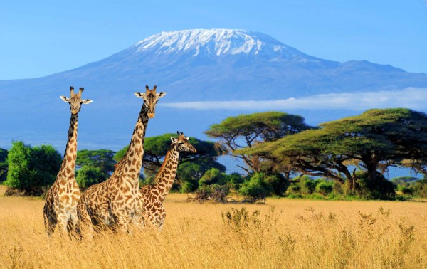 Maasai Mara